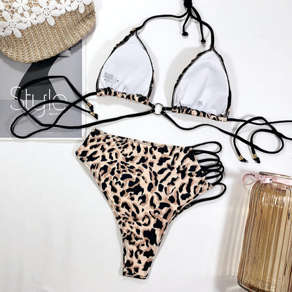 Leopard Print Two-Piece Swimsuit